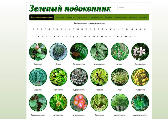Сайт про растения